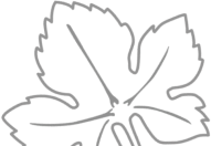 kaisten